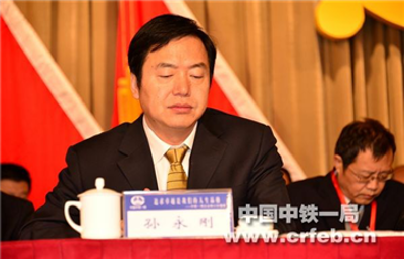 中國中鐵股份公司副總工程師孫永剛參加會(huì)議